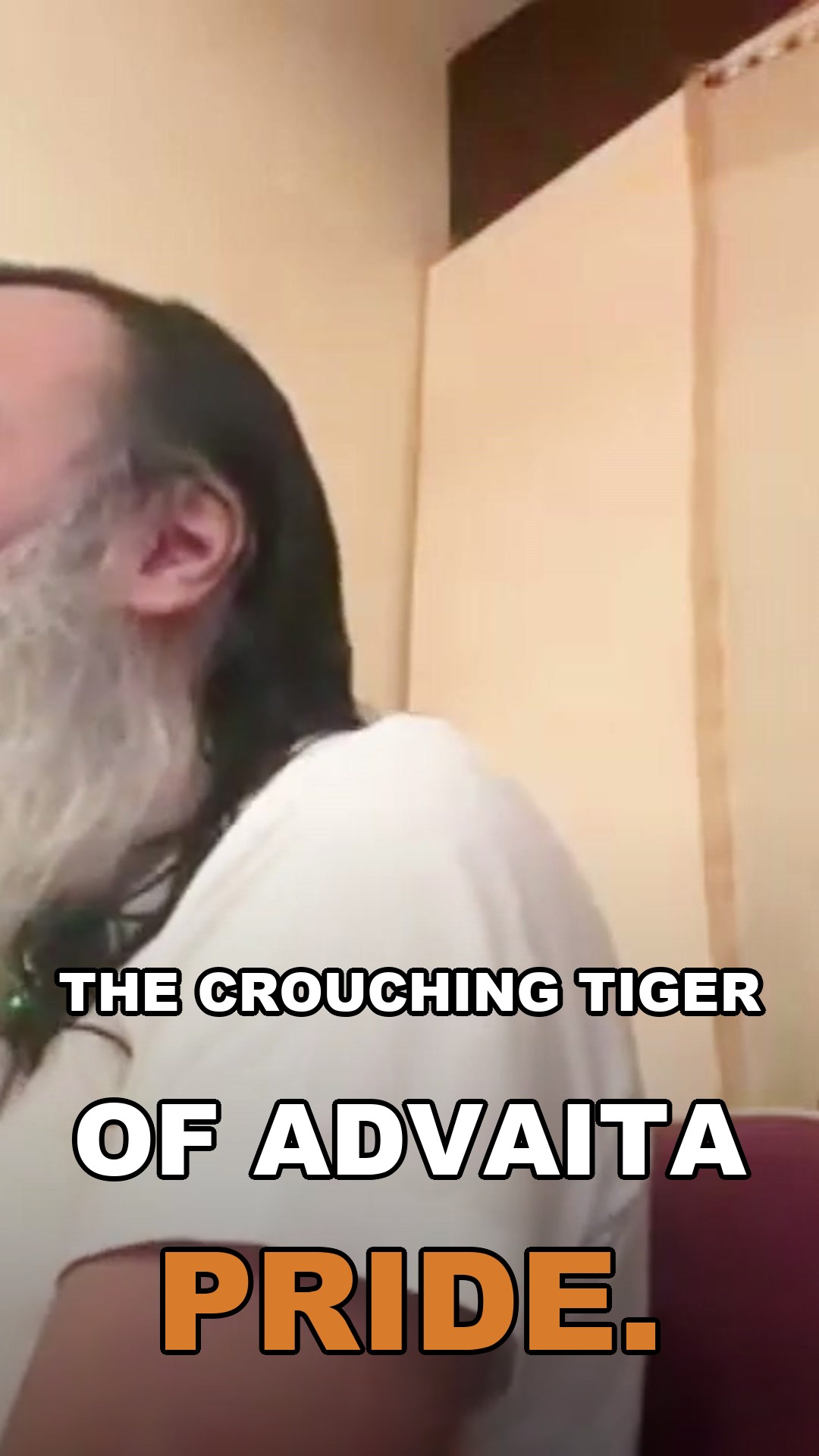The crouching tiger of Advaita pride