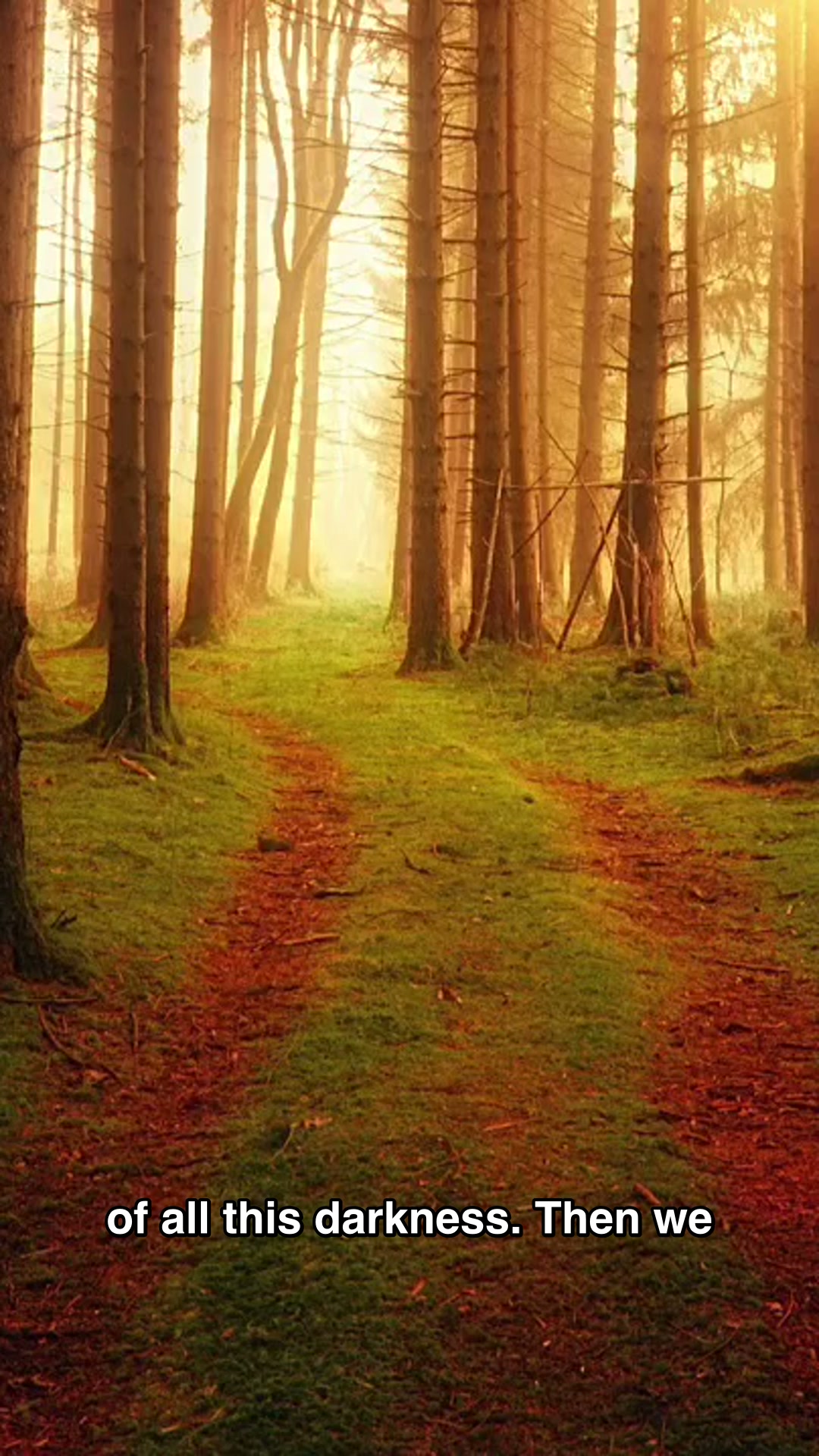 Life's purpose — be holy vessels of Atma
