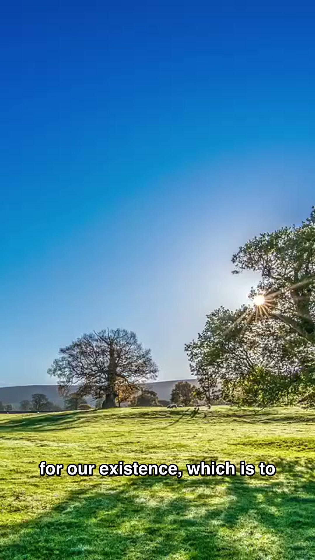 Four things we gather — and what life is really for