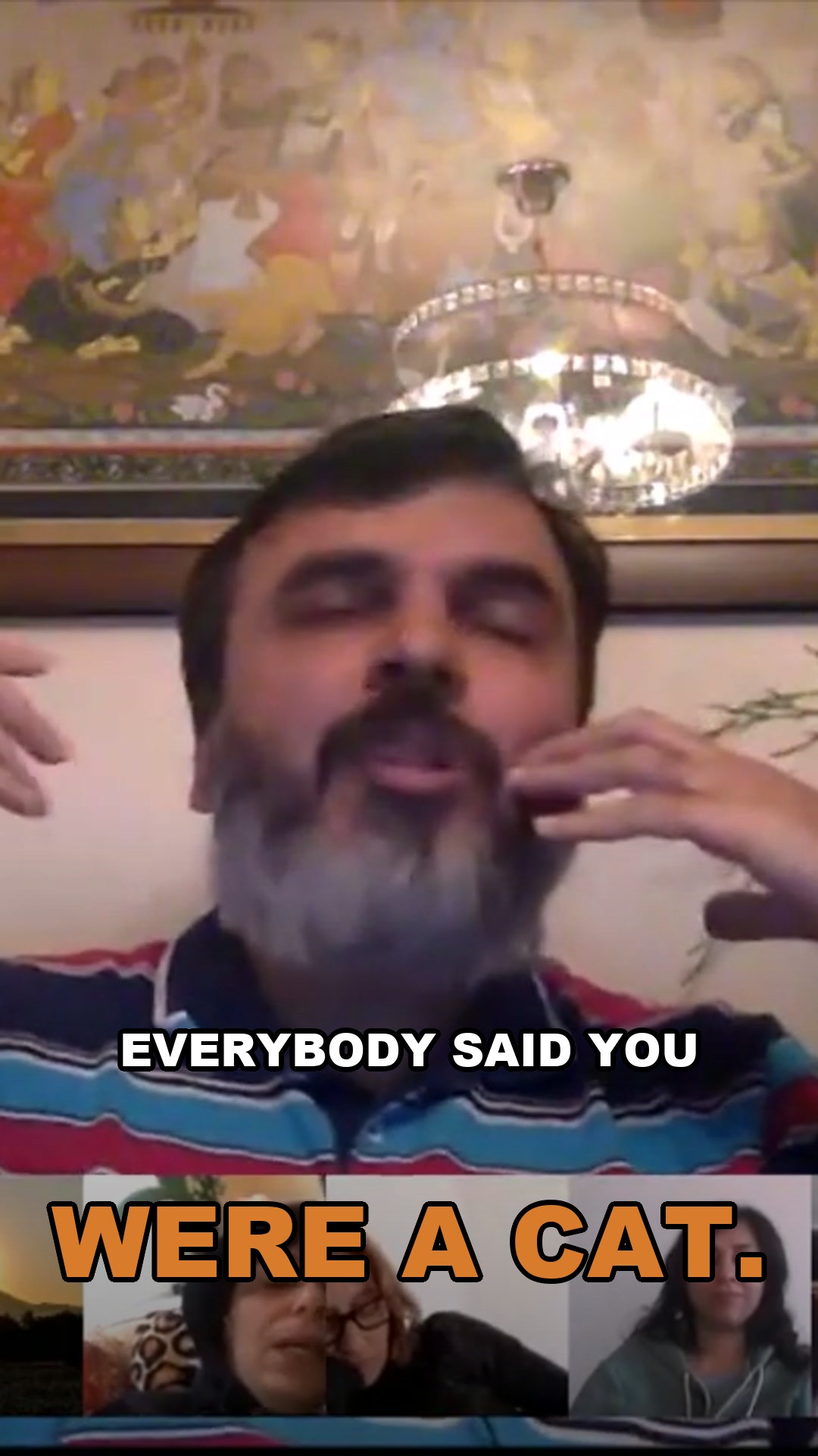 Everybody Said You Were a Cat
