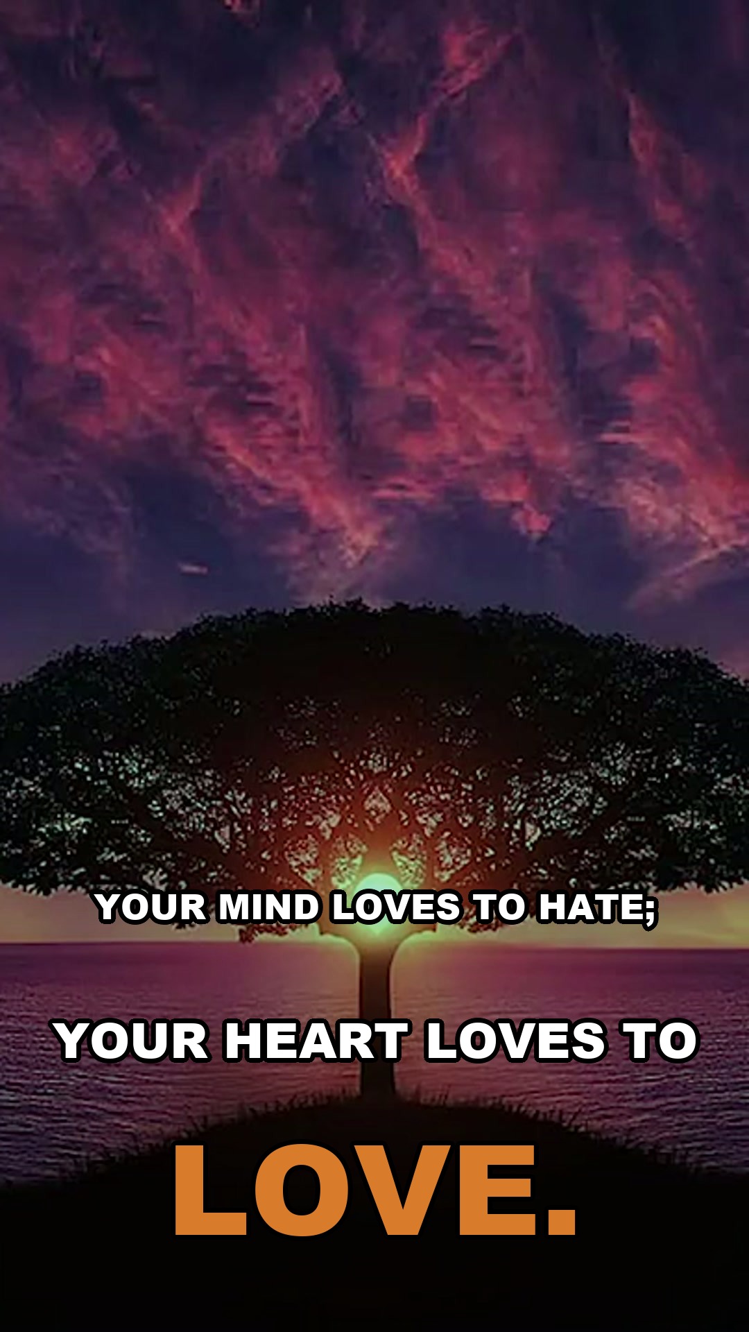 Your mind loves to hate; your heart loves to love